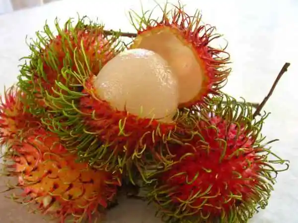 Vietnamese Rambutan / Fresh Rambutan