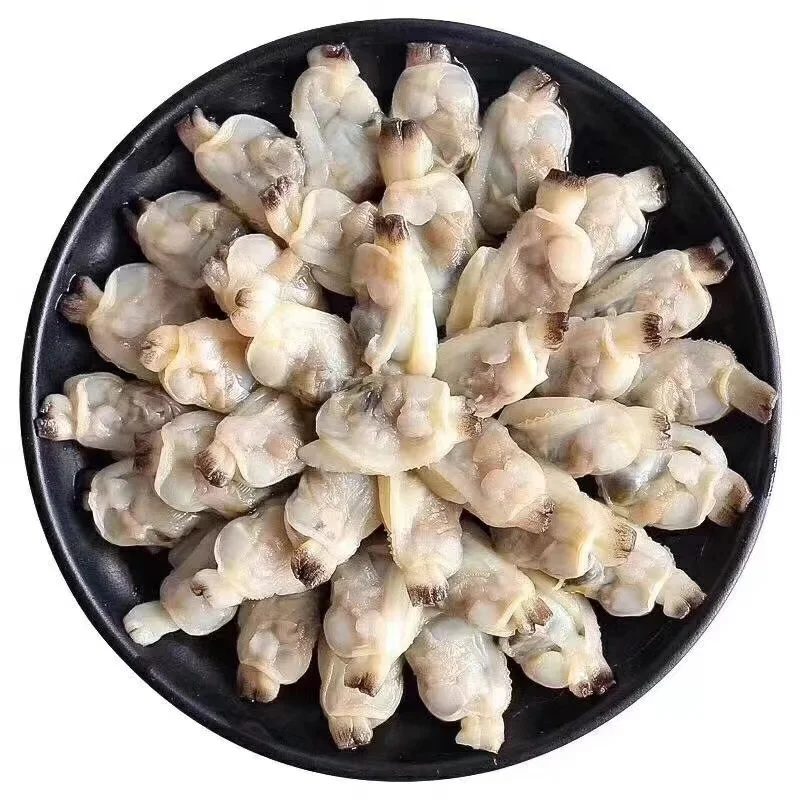 Manufacturers wholesale quality delicious Chinese seafood clam meat