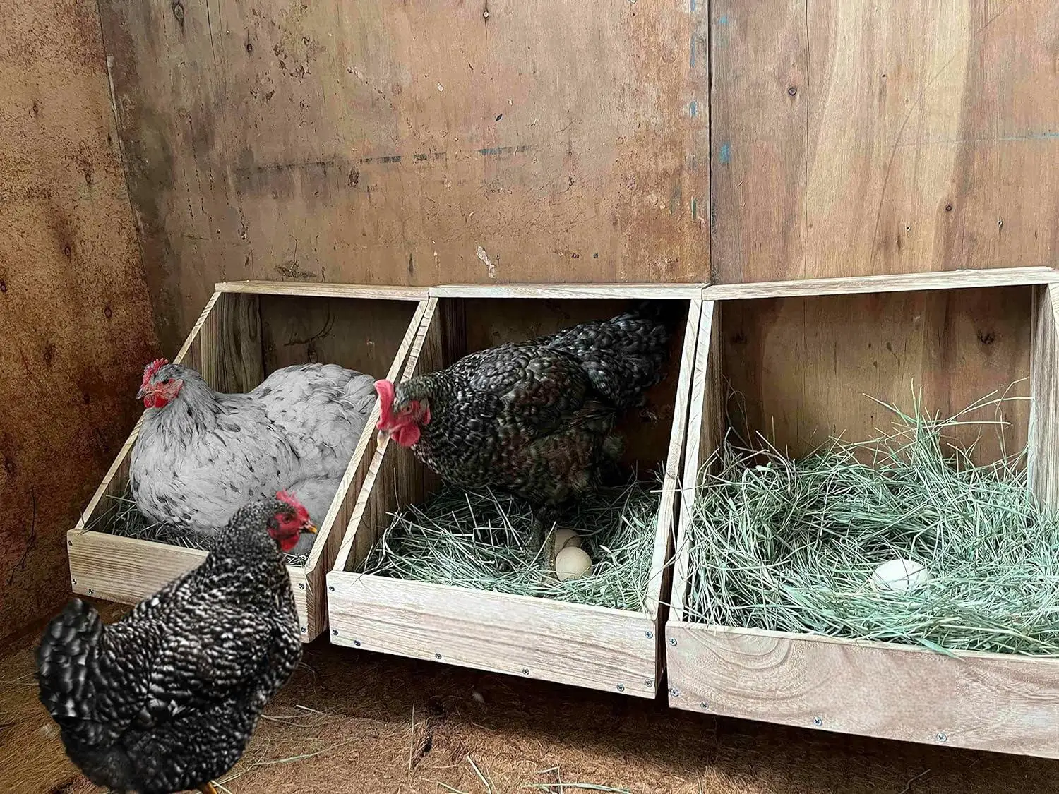 Durable and easy to assemble single compartment large chicken, duck, and poultry nest box