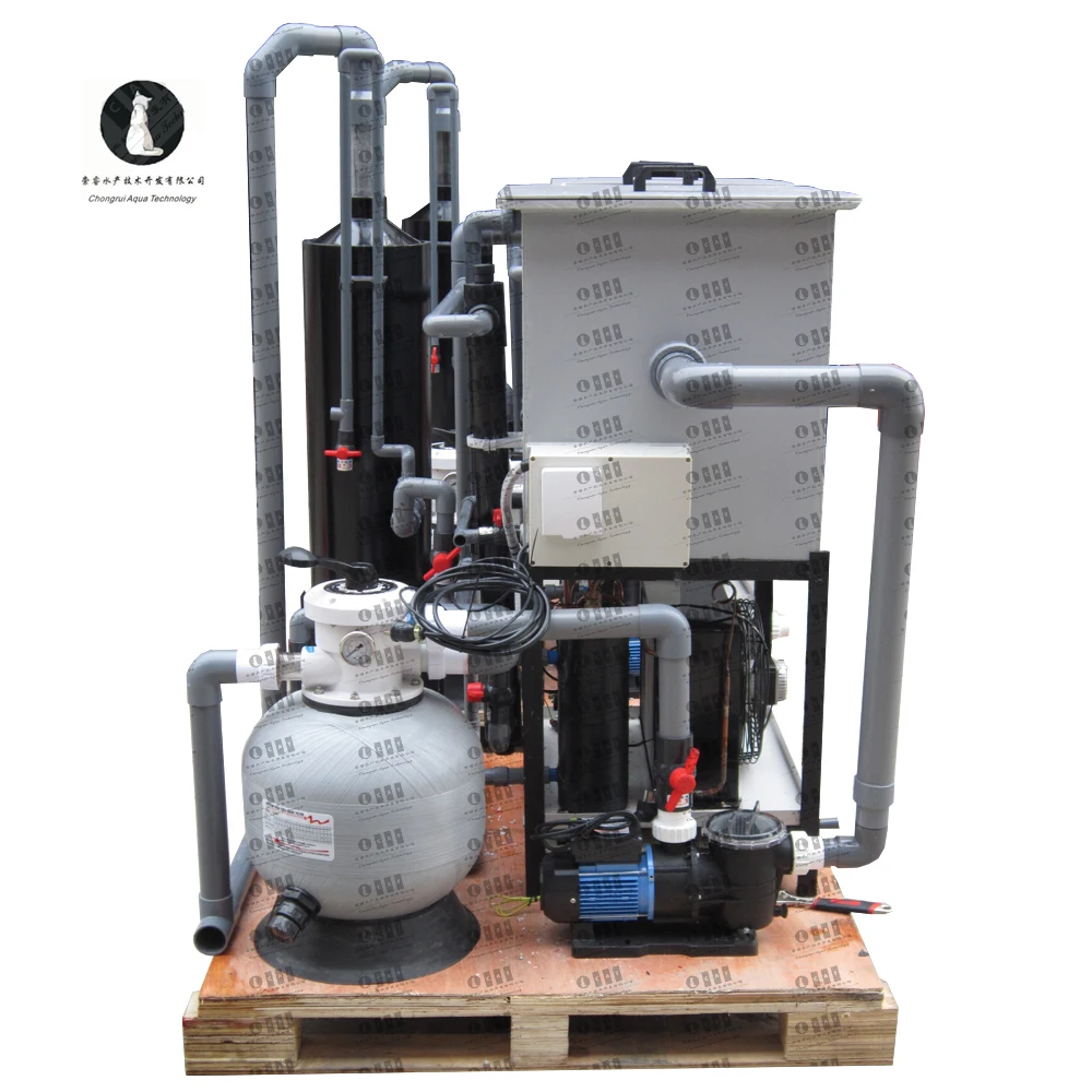 Sea water Recirculating Aquaculture Systems Modern Agriculture Fish Farming