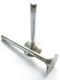 Factory Direct Sale High Performance  Detroit  5199323 Intake & Exhaust Engine Valve