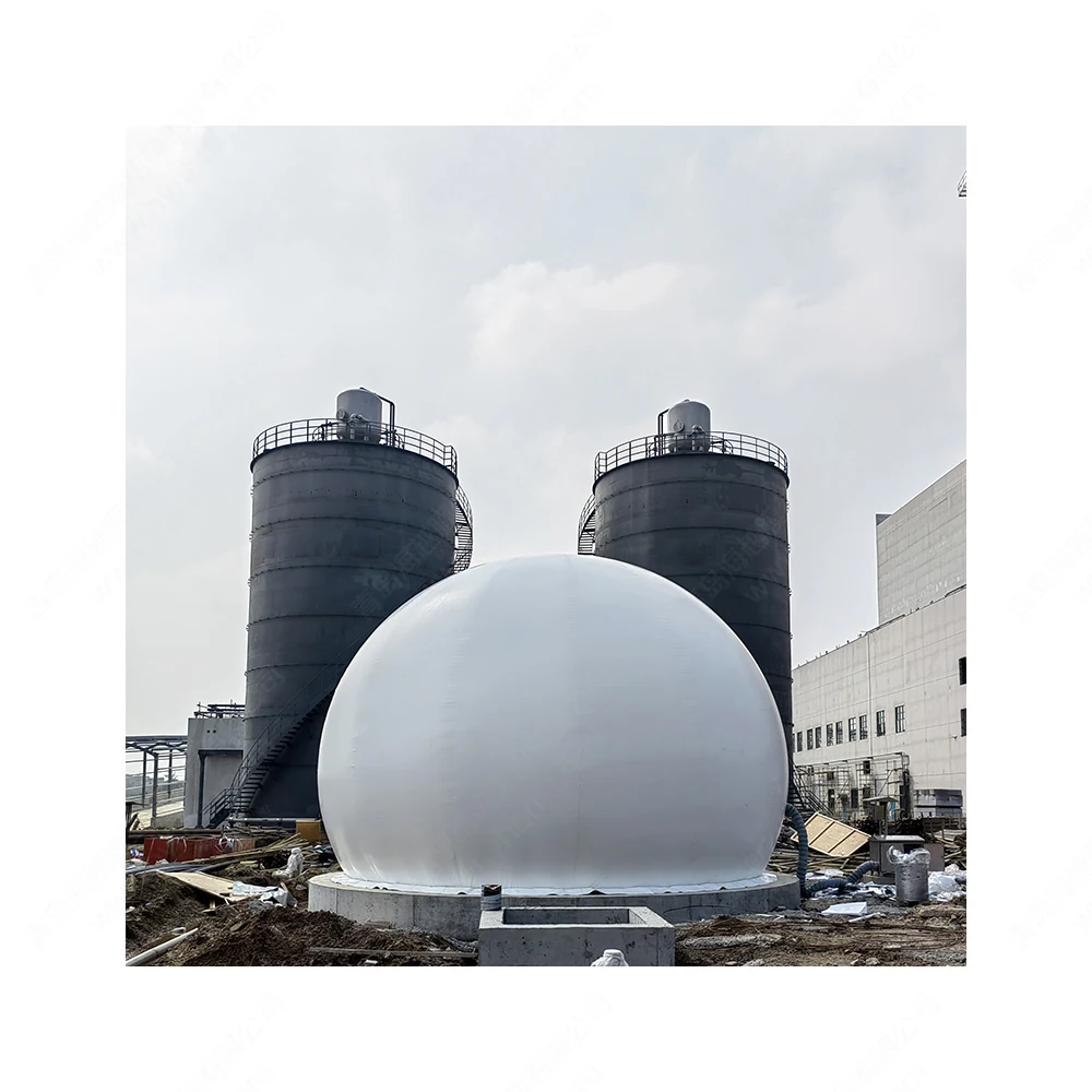 HY New Cheap Double membrane biogas storage holder bio gas converter into cng chulha for farm waste