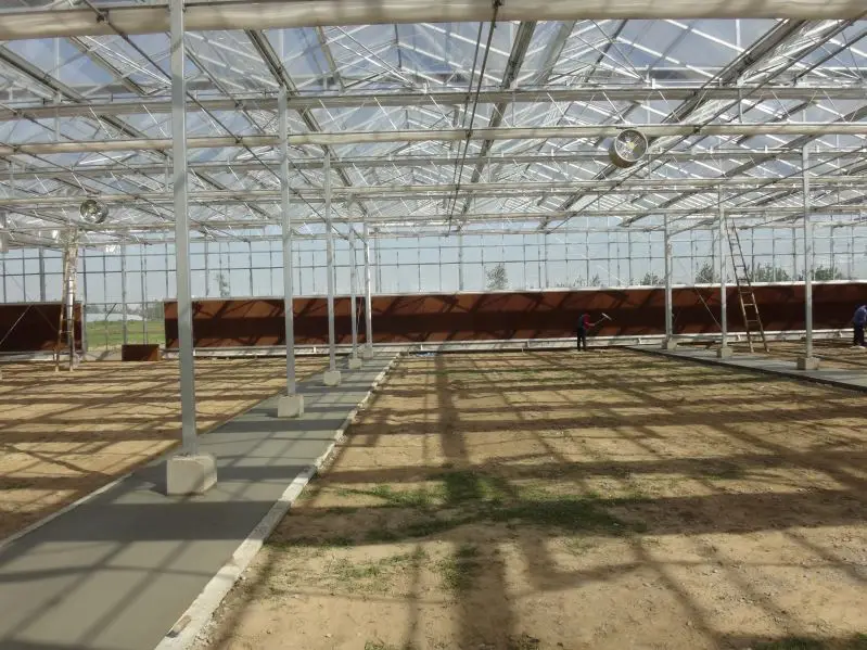 
Commercial glass greenhouse wit hydroponics and other equipments 