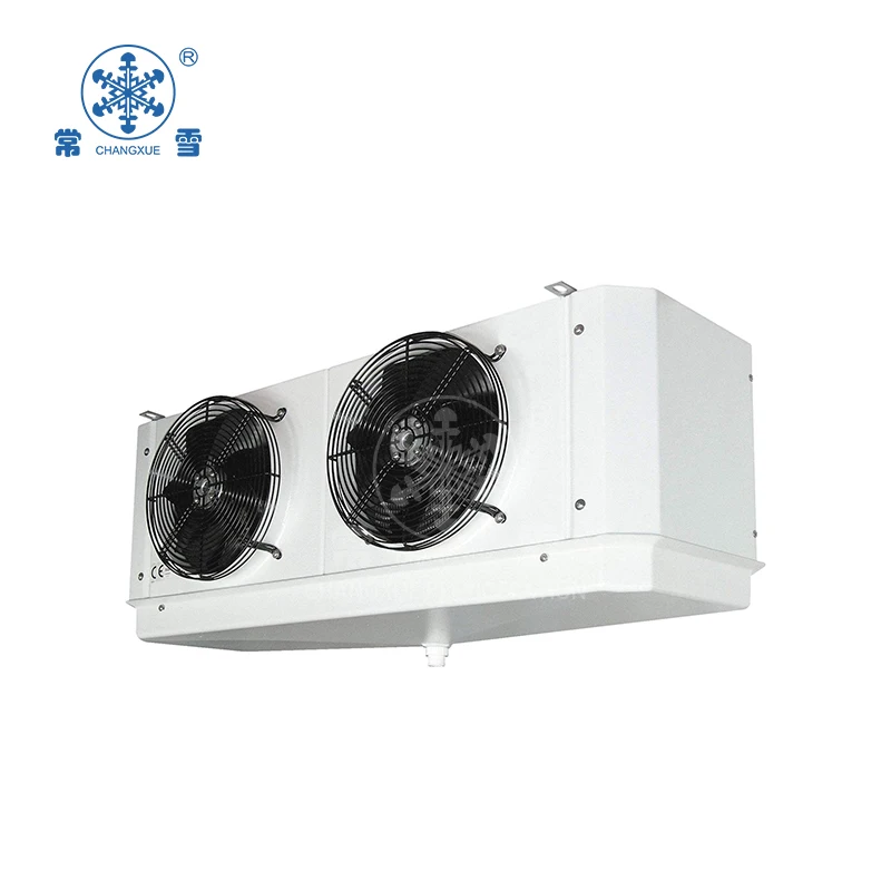 small air freezer for meat