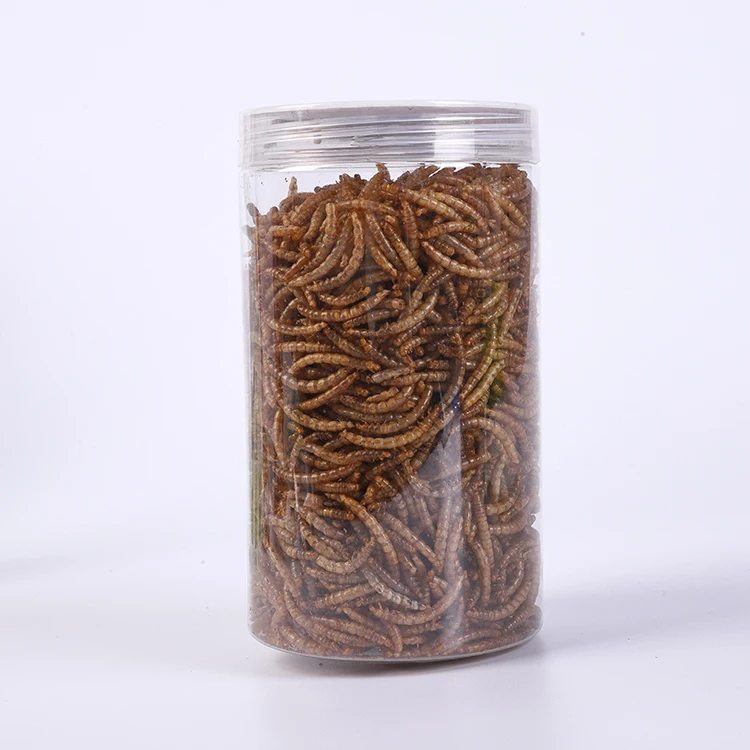 New Functionality Dried Insects Freeze Dried Mealworm for Small Pet food