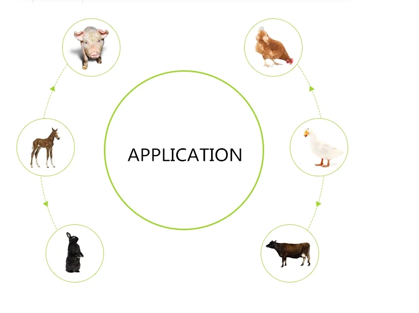 
Low Price Meat Bone Meal Animal Feed 55% Protein Meat And Bone Meal MBM 