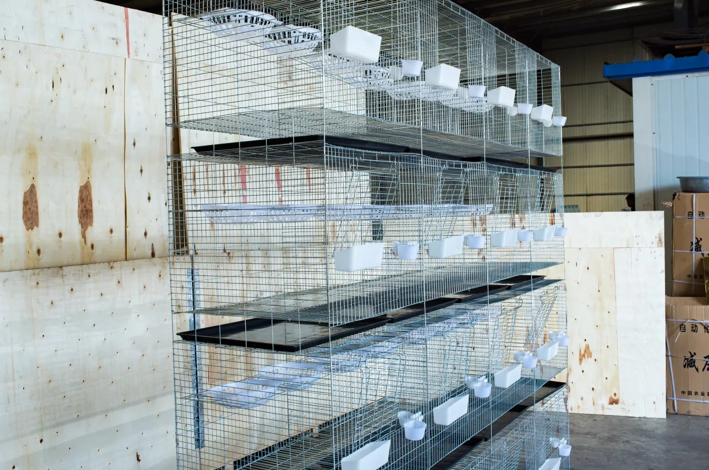 Trade Assurance Pigeon Breeding Boxes for Sale