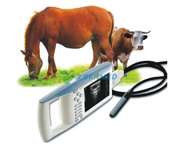 Medical Animal veterinary 4D Ultrasound Machine Vet Ultrasound Scanner Small And Large Animal
