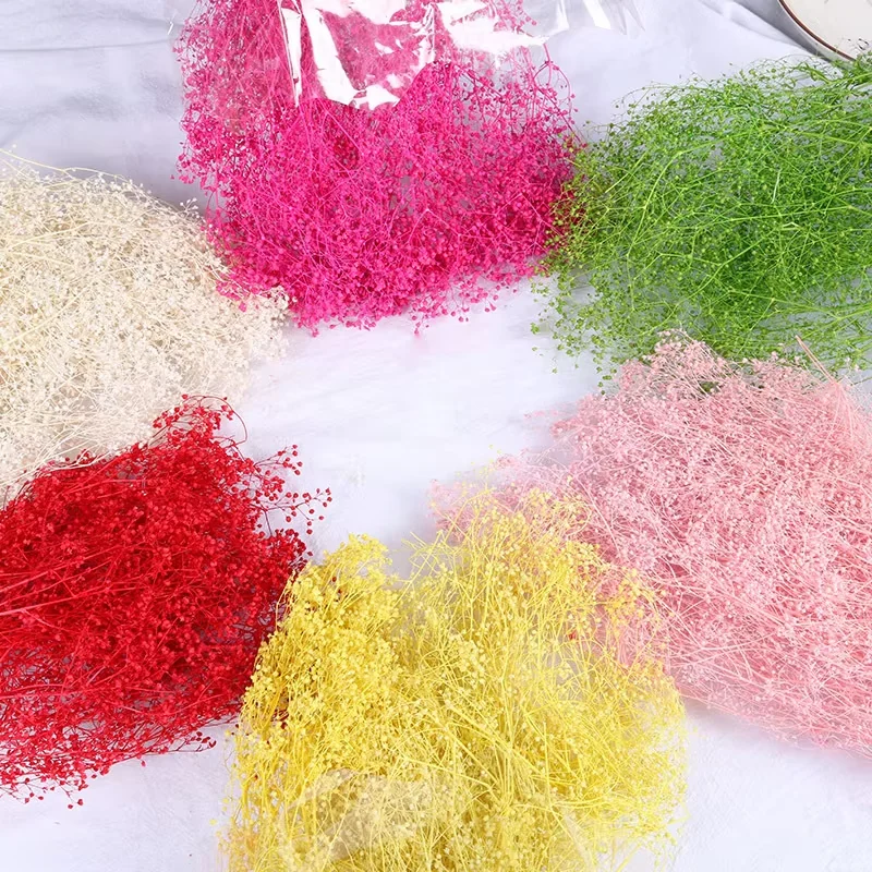 Babysbreath Bouquet Arrangement Gypsophila Phantasy Star Babysbreath Dry Million Stars Gypsophila Preserved Million Star