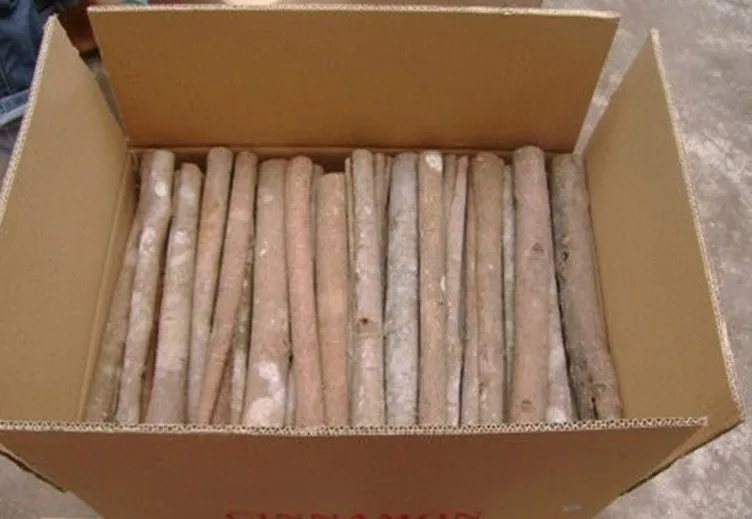 VIETNAM CINNAMON STICK best PRICE CINNAMON/CASSIA AND SPLIT CASSIA