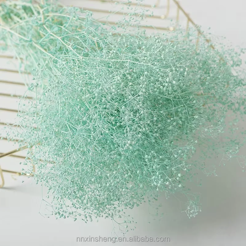 Babysbreath Bouquet Arrangement Gypsophila Phantasy Star Babysbreath Dry Million Stars Gypsophila Preserved Million Star