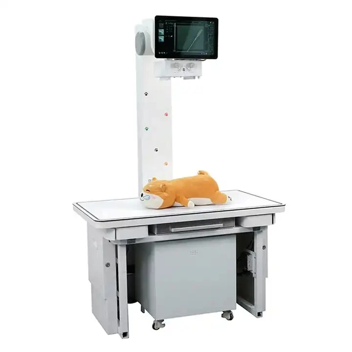Medical Xray System Digital Vet X Ray High Frequency Veterinary X-ray Machine with Panels