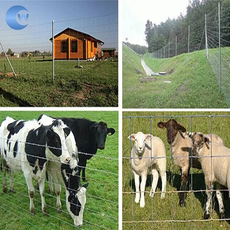 Hot Sale Galvanized Fixed Knot Wire Mesh Farm Fence for Farm Animal Deer Cattle Horse Cow Sheep