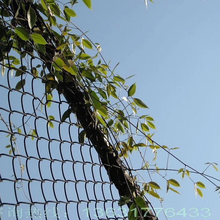 6ft lowes galvanized diamond wire chain link fence supplier