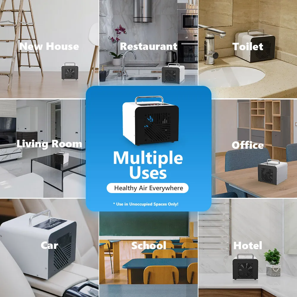 OEM Custom 220V 110V 20g 10g 5g / h  Portable Air Ozone Generator for Home Hotel Office Car