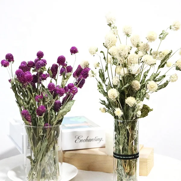 Boho decor 40-50 heads dried natural pink white dried purple Gomphrena globosa flower