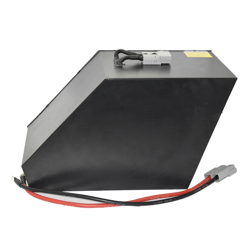 Литий-ионная батарея для электроскутера WELLGO OEM 36 в 48 60 72 20 Ач 30 40