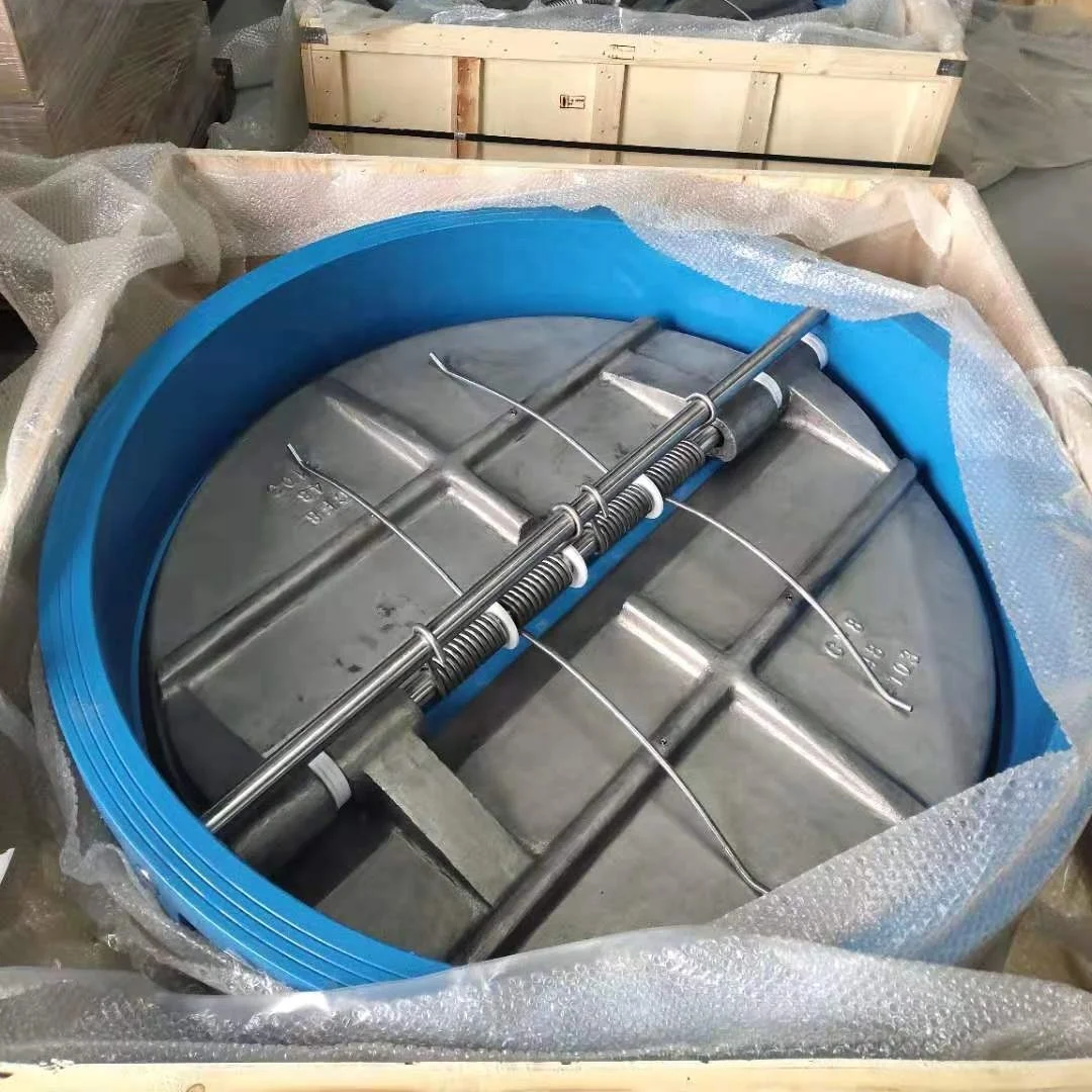 Veyron DN50 to DN1200  Iron Brass Double Disc CF8M Disc Wafer Butterfly dual plate check valve in ANSI DIN JIS BS