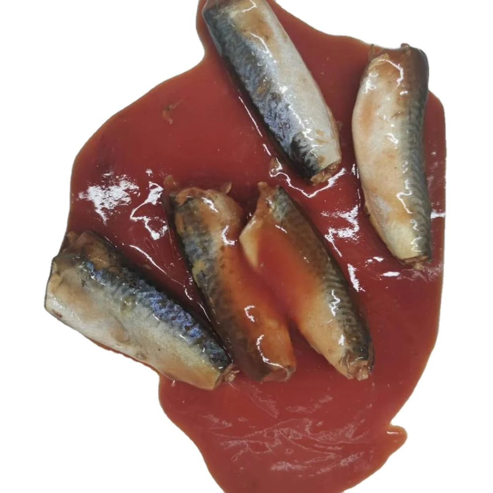 
Canned mackerel fish in tomato sauce mackerel tin fish 