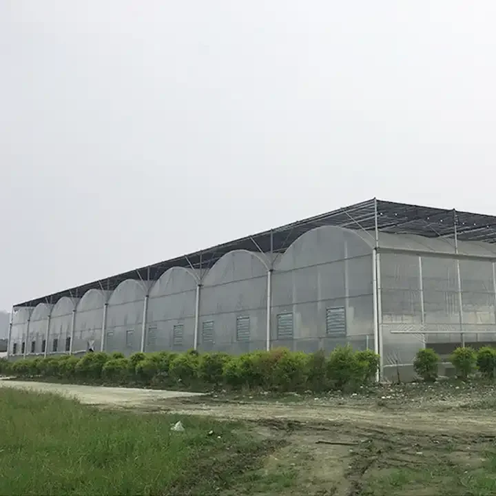Modern Agriculture Multi-Span Greenhouse for Vegetables/Fruits/Flowers/Tomato/Pepper/Strawberry