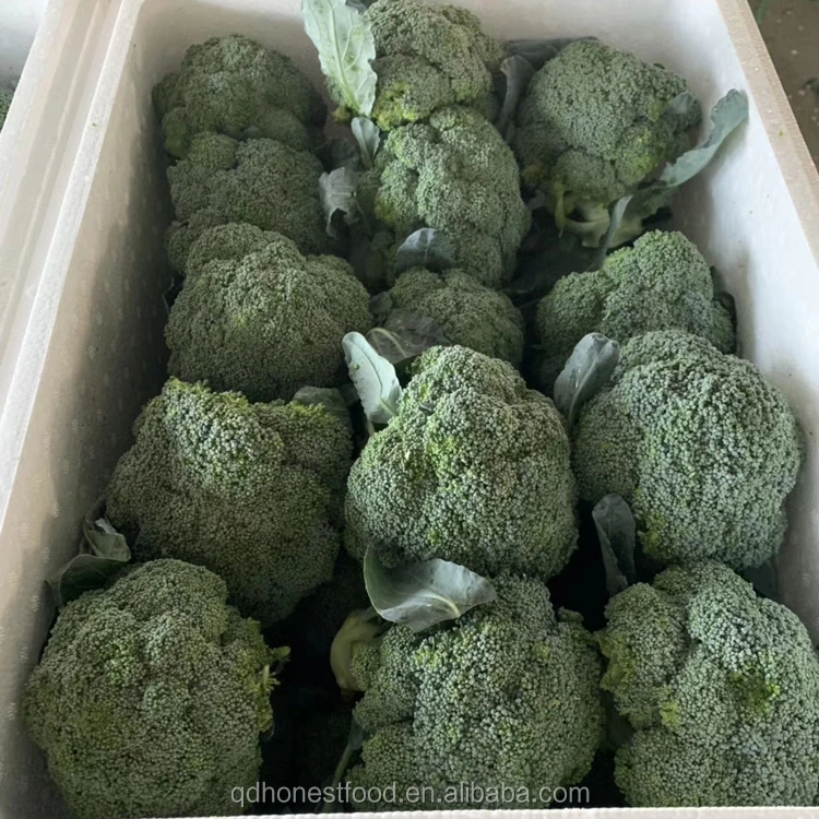 2021 высокое качество свежий брокколи заводская цена