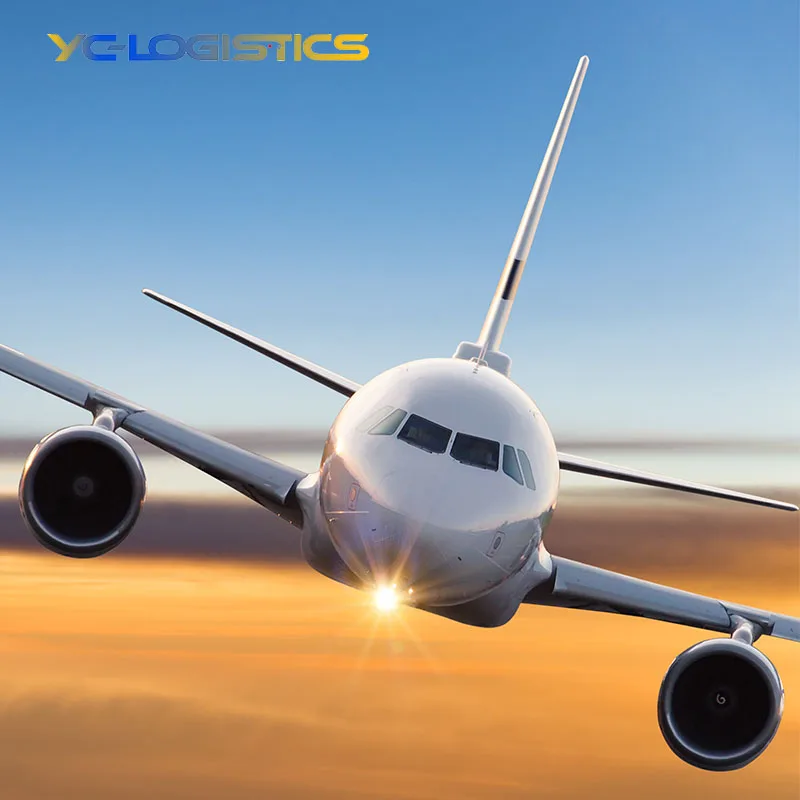 Professional door to door transport agent air shipping from China to USA FBA  service