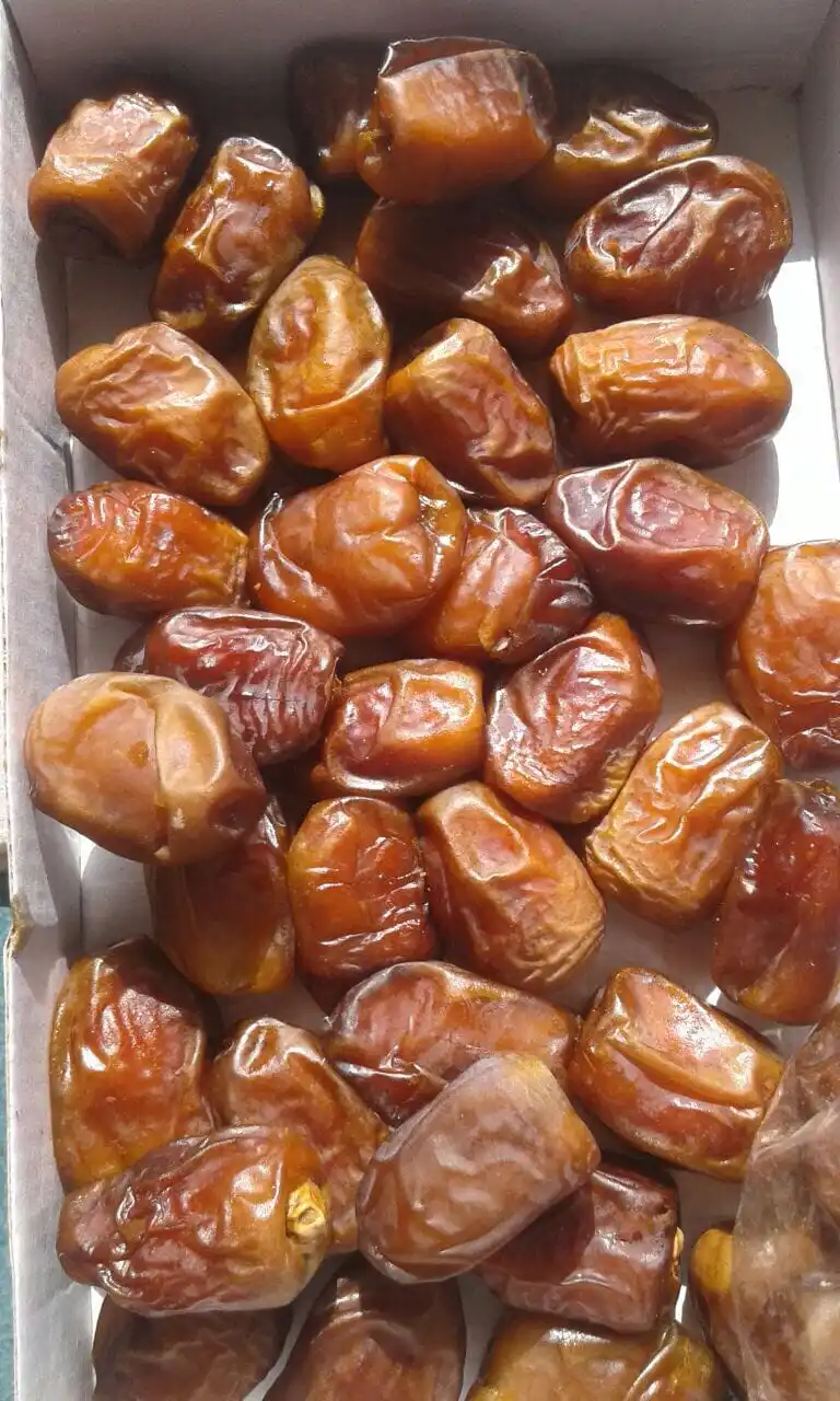 Wholesale New Arrival Egypt Dried Fruit Dry Certified Jujube Red Dates Zahdi dates for good price