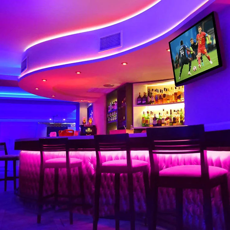 Commercial Dream Full Color RGBW DC12V 24V Magic Digital No Light Point RGBIC Soft 630/m Smart Addressable RGB COB LED Strips