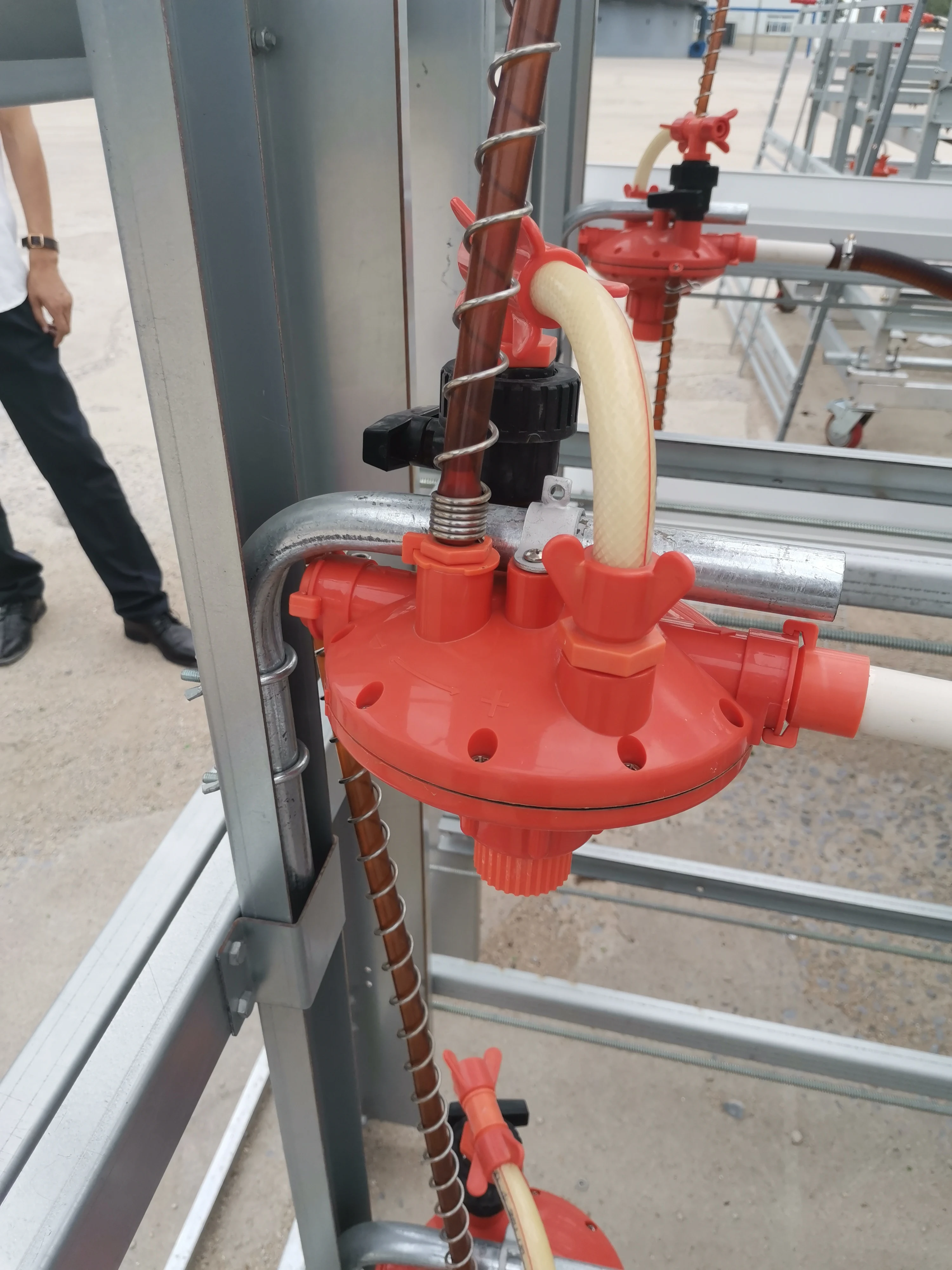 Лидер продаж 2024 сельскохозяйственное оборудование для птицеводства автоматическая клетка кур H-типа