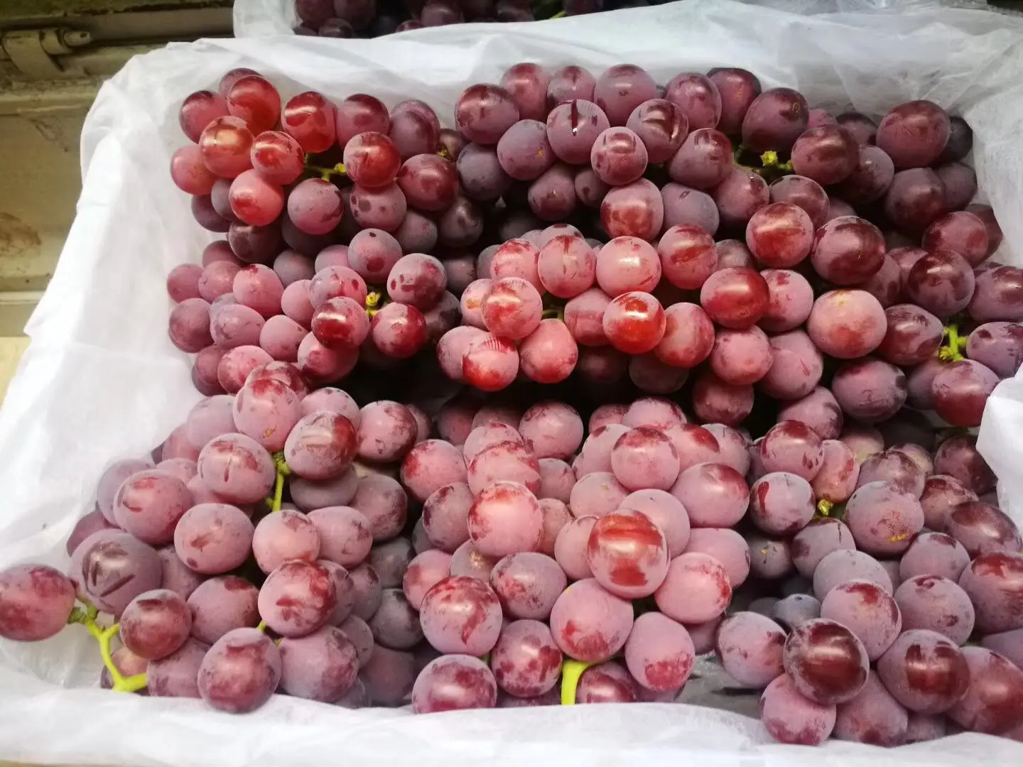 fresh fruits crimson fresh grapes sweet seedless grape for sale red grapes