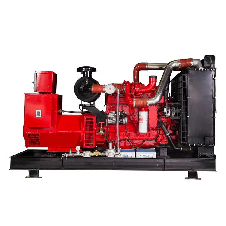 OEM Factory Natural Gas Electric Generators Methane Generator 200kW 250kVA CHP Biogas Generator For Sale