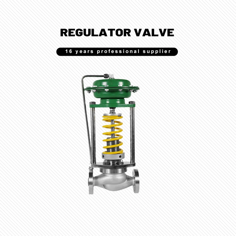 China Supplier Self Type Pressure Regulator High Quality DN50 Self Type Pressure Regulator
