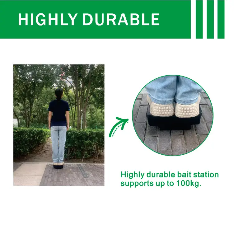 Free Samples Large Outdoor Rodent Bait Station Reusable Heavy Duty Bait Boxes with Key Plastic Traps