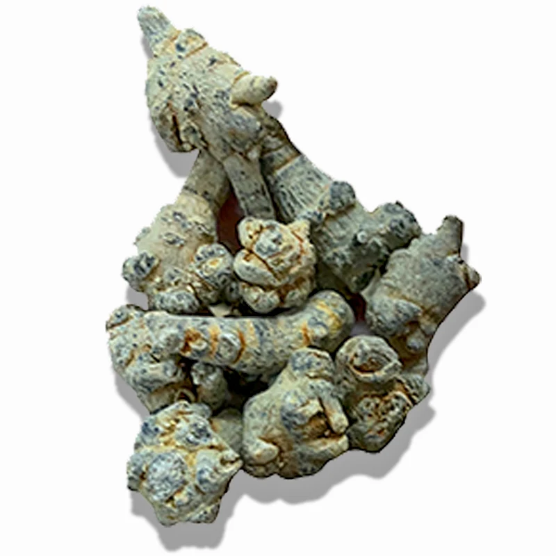Super Root for Chemo Recovery with Other Chinese Medicine Yunan Sanqi