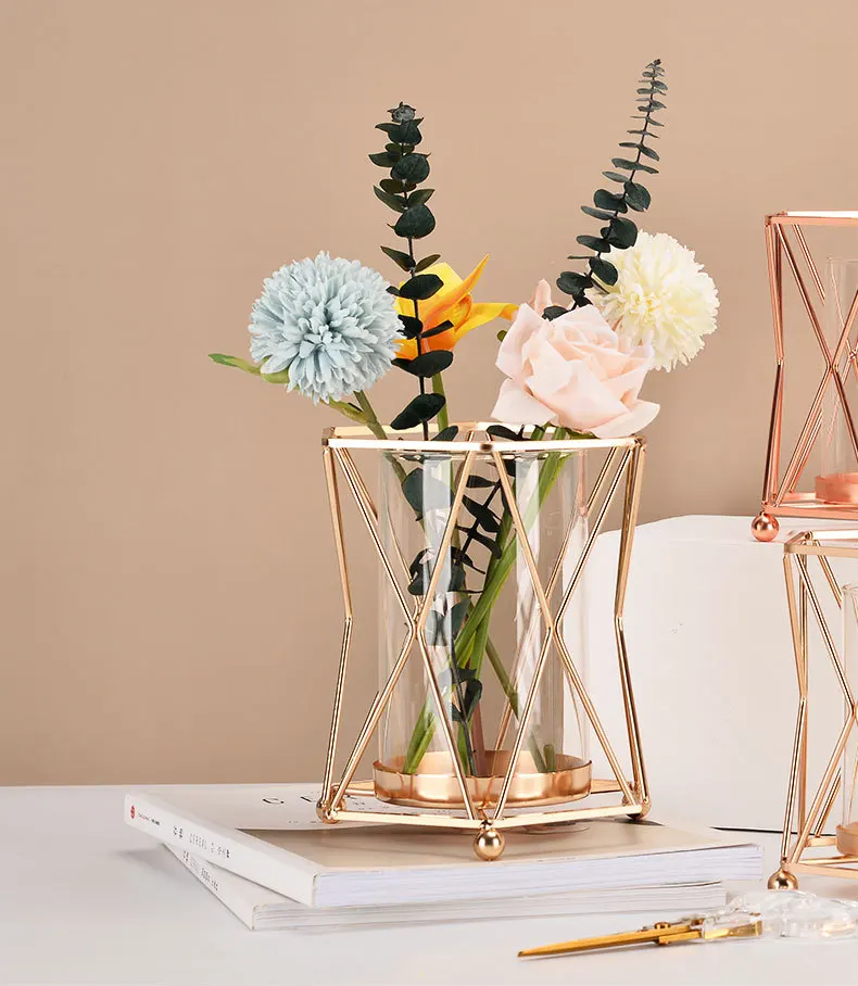 Ваза INS в металлической золотой рамке настольный Большой калибр Геометрическая прозрачная гидропонная стеклянная декоративная ваза для