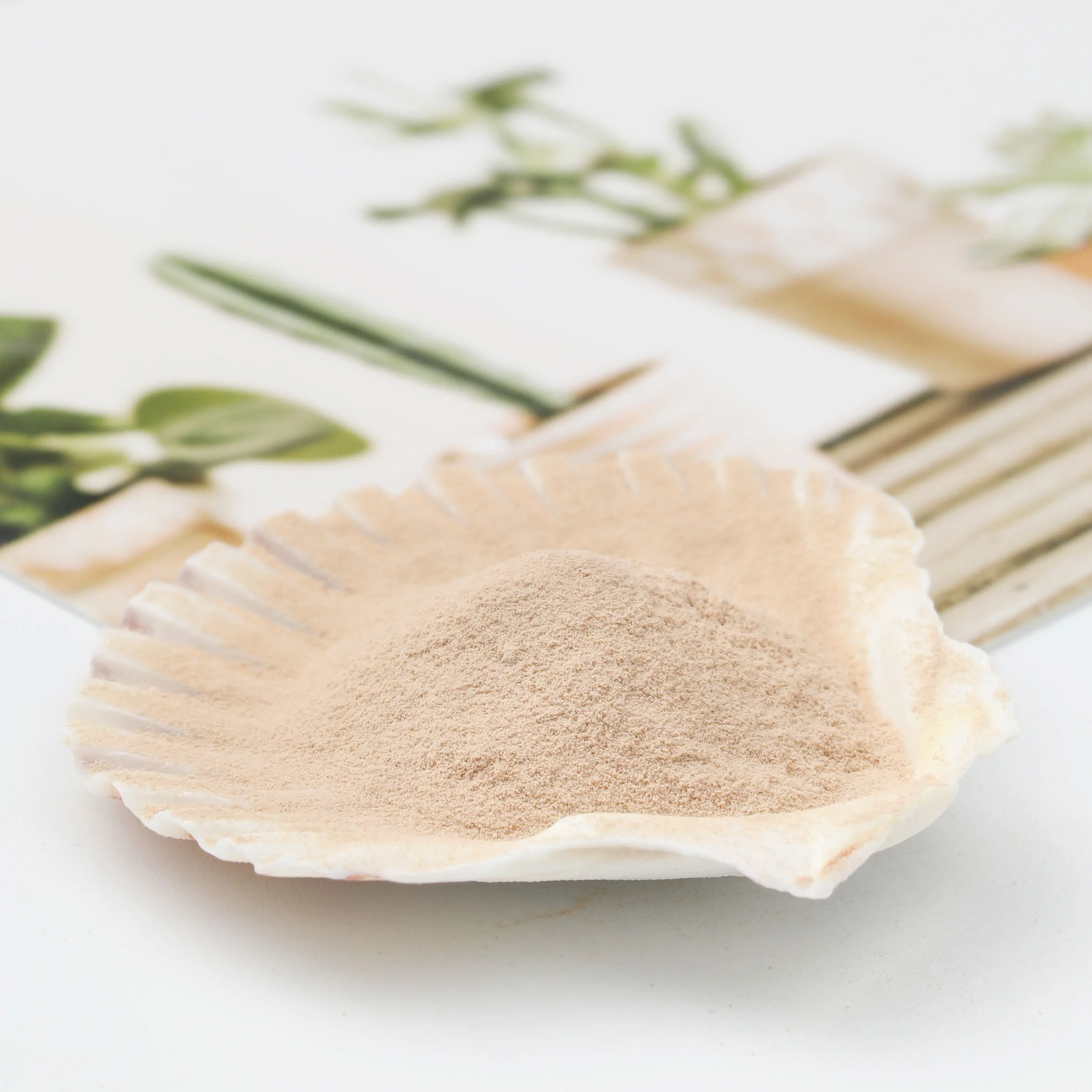 Supplier 598-62-9 Manganous Carbonate Fertilizer Powder Manganese Carbonate with Good Price