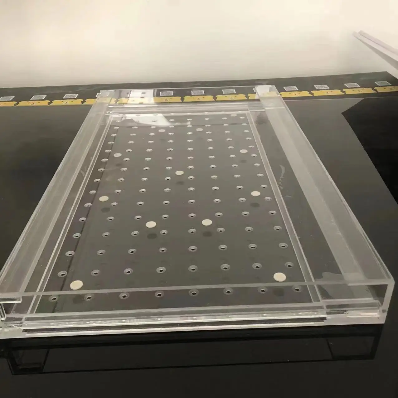 New tray Customizable seed sowing tool/ seeder