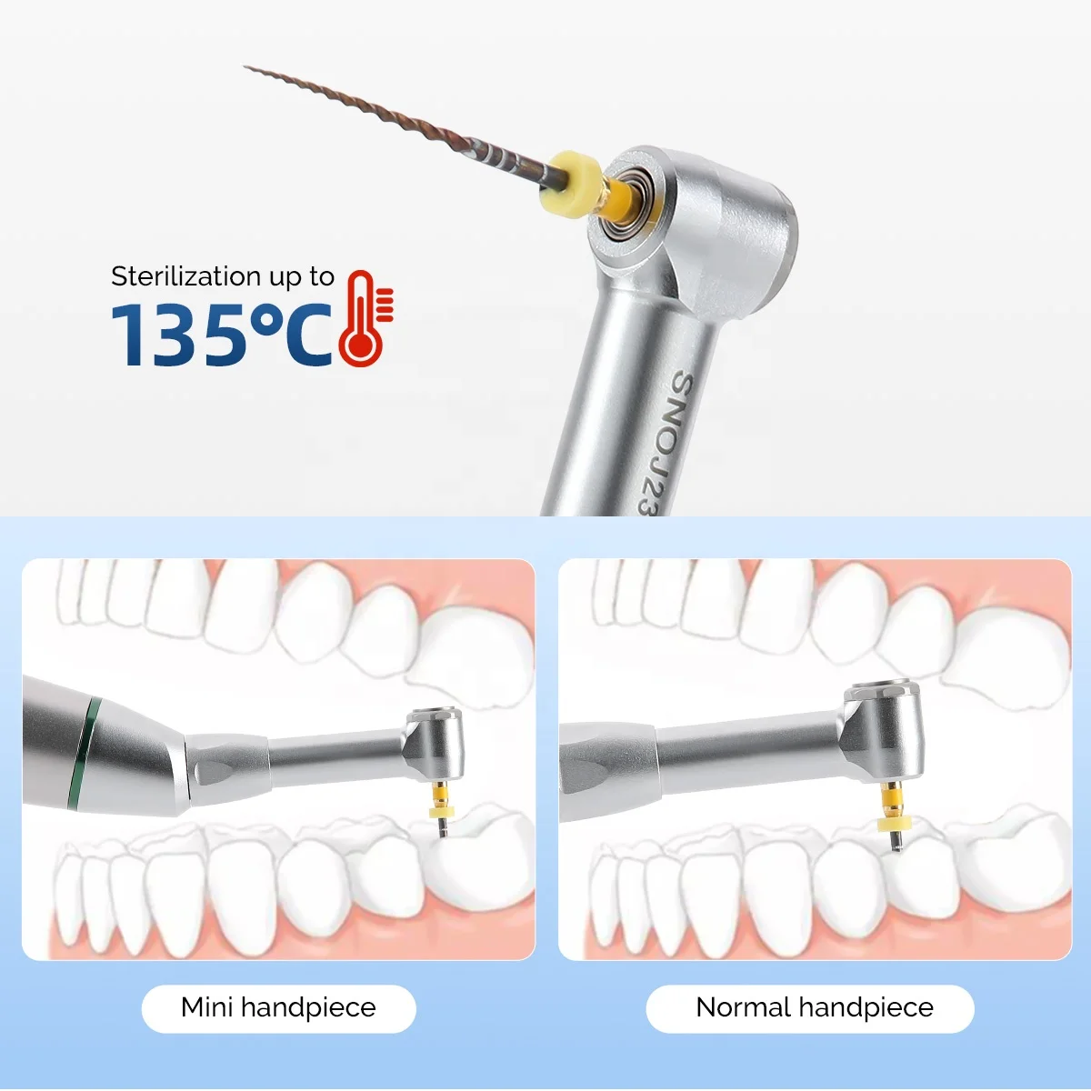 Wireless Handheld Endodontic Motor Dental Root Canal Treatment Endo Motor