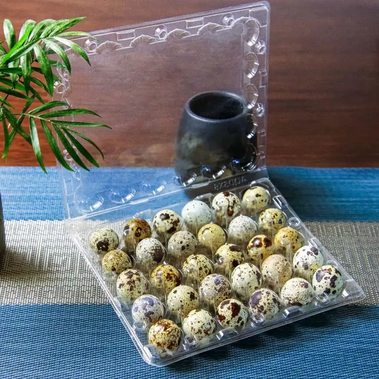 High quality disposable Clear 30 holes plastic quail egg tray