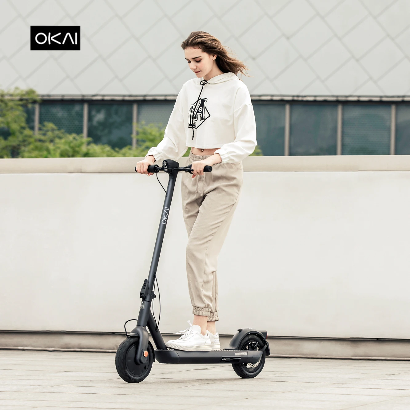 OKAI 300W Европейский склад ABE немецкий рынок 24% наклон тройник электрик большой дальности взрослый Электрический скутер