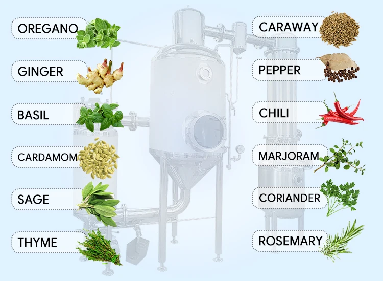 Stainless steel Herb Plant Oil Extractor And Evaporator Concentrator essential oil fractional distillation