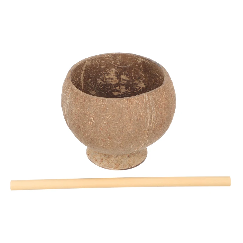 Delicate Dessert Bowl Coconuts Craft Novel Cup with Straw 1 Set Coconut-shell Beverage Cup