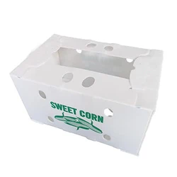 3mm 4mm 5mm Recycled Custom Logo PP corrugated Fruit Box Packing Vietnam Fresh Asparagus packing boxes