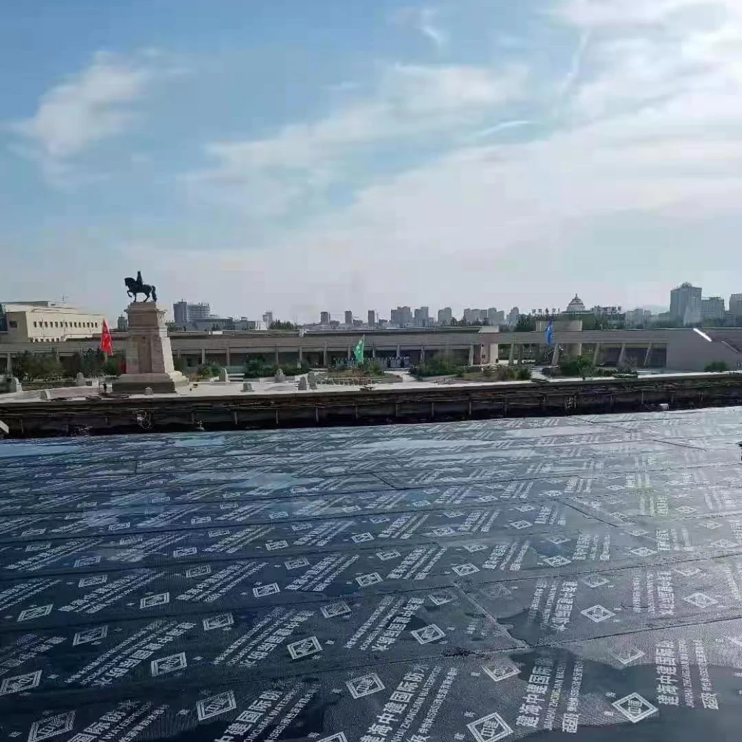 POLYURETHANE LIQUID MEMBRANE WATERPROOFING TREATMENT Coatings bitumen waterproof coil