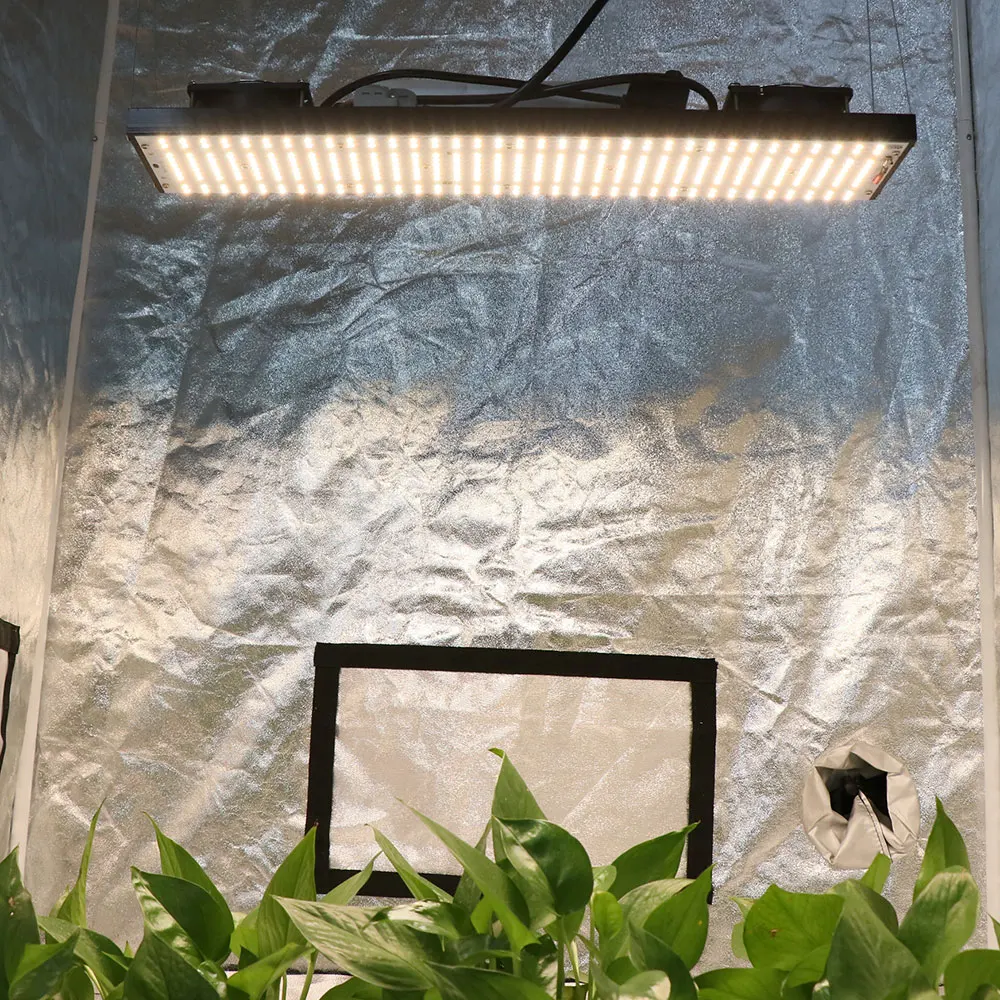 YXO Stock Plant Grow Lm282B светодиодная промышленная лампа 240 Вт 480 720 полный спектр для выращивания растений в помещении