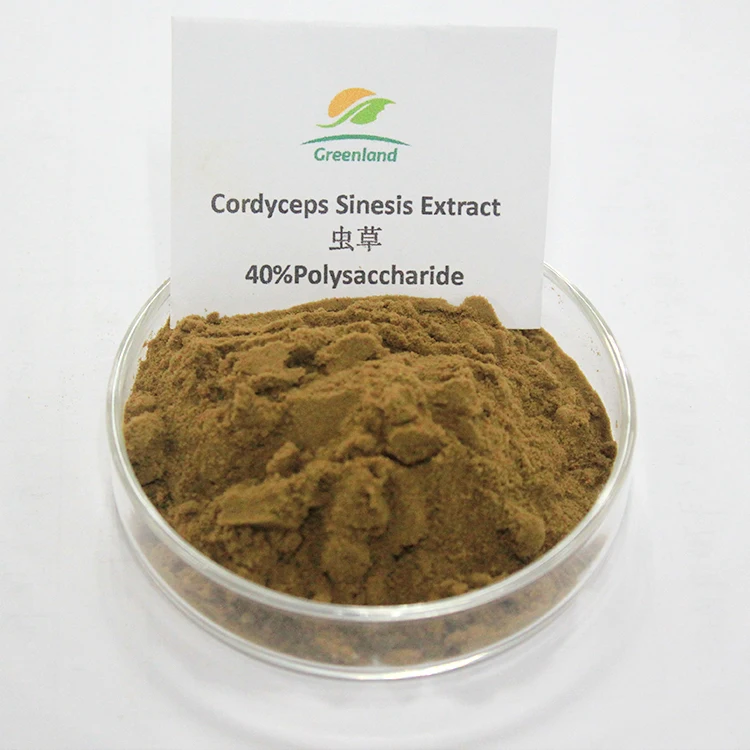 Best  Pure Cordyceps Tibet Powder Cordyceps Sinensis Mushroom Extract Price