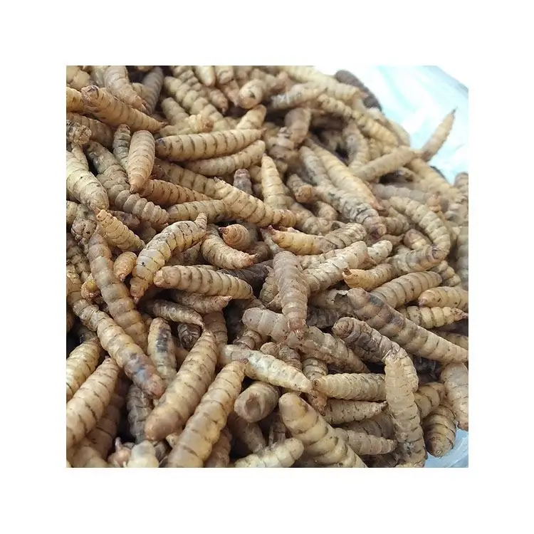 Китайский производитель, корм для насекомых, протеин, живой сушеный черный солдат