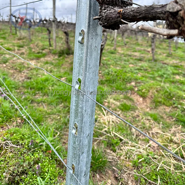 High quality galvanized vine plants vineyard grape stake / vineyard orchard grape metal trellis post For sale