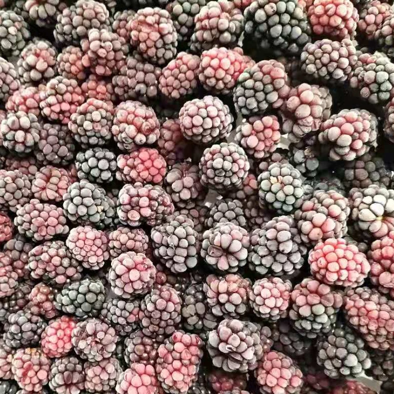 Замороженные черные ягоды, замороженные Blackberry, фрукты