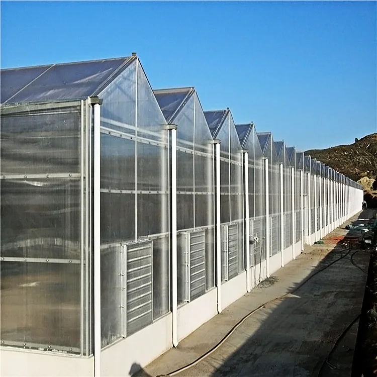 wenluo type sunshine board solar greenhouse